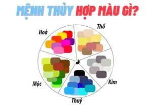 Mệnh Thủy hợp màu gì