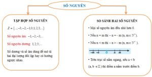 Số nguyên là gì