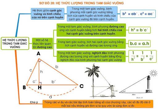 Hệ thức lượng trong tam giác vuông